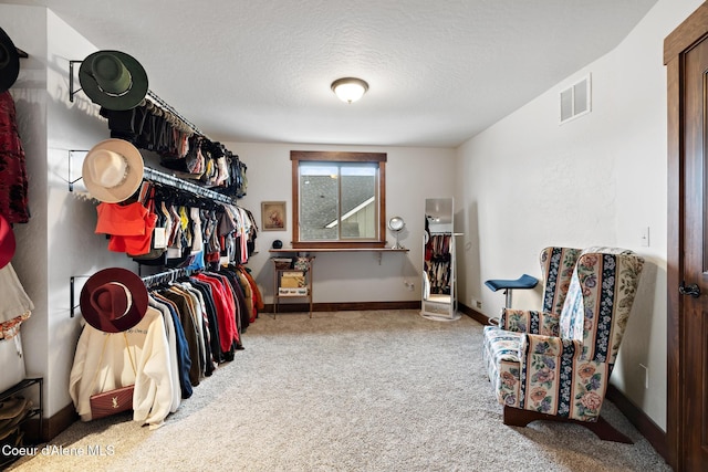 11387 N Armonia Way, Hayden Lake, ID 83835 - spacious closet featuring carpet floors