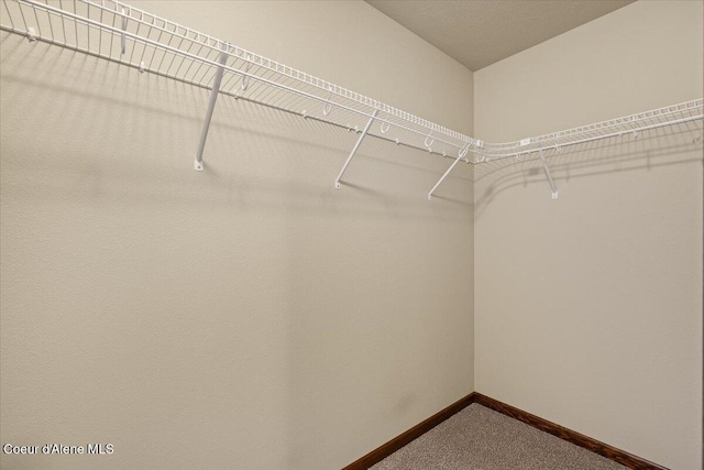 6463 W Conner St, Rathdrum, ID 83858 - walk in closet with dark carpet