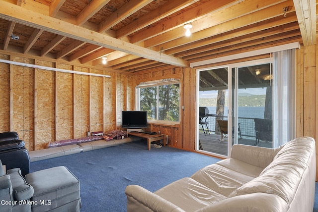 36799 W Coeur D Alene Lake Shr, Coeur Dalene, ID 83814 - view of carpeted living area