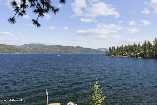 36799 W Coeur D Alene Lake Shr, Coeur Dalene, ID 83814 - water view with a mountain backdrop