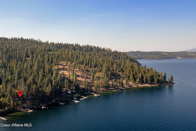 36799 W Coeur D Alene Lake Shr, Coeur Dalene, ID 83814 - water view featuring a heavily wooded area