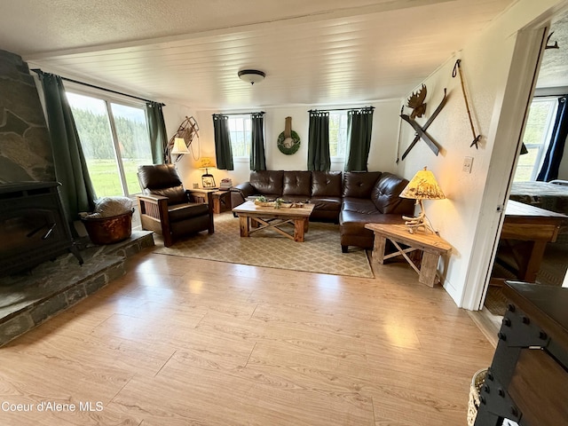 408 Quartz Crk Rd, Priest River, ID 83856 - living room featuring light wood-style floors, plenty of natural light, and a wood stove