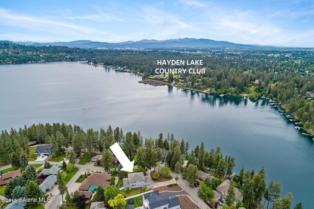 2946 E Point Hayden Dr, Hayden Lake, ID 83835 - bird's eye view of a water and mountain view