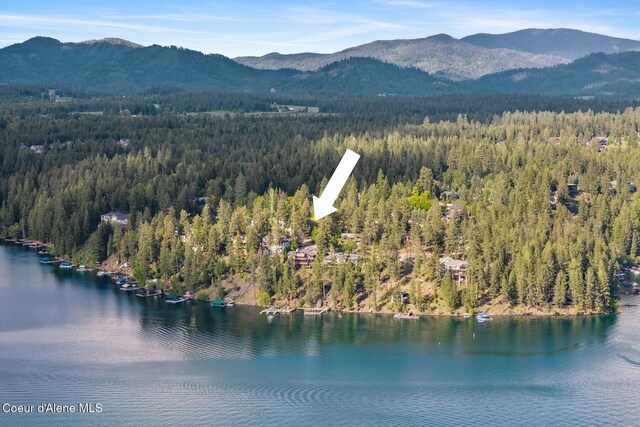 2946 E Point Hayden Dr, Hayden Lake, ID 83835 - bird's eye view of a heavily wooded area and a water and mountain view