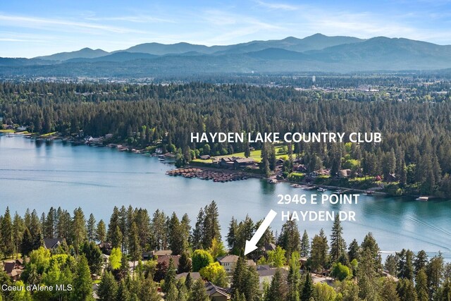 2946 E Point Hayden Dr, Hayden Lake, ID 83835 - drone / aerial view of a forest and a water and mountain view