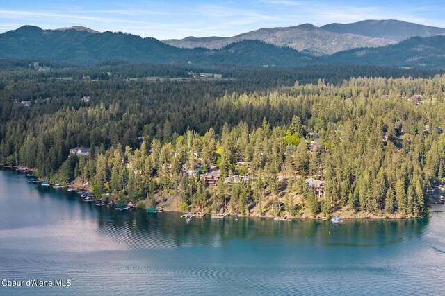 2946 E Point Hayden Dr, Hayden Lake, ID 83835 - bird's eye view of a forest and a water and mountain view