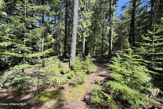 171 Whispering Pines Rd, Sagle, ID 83860