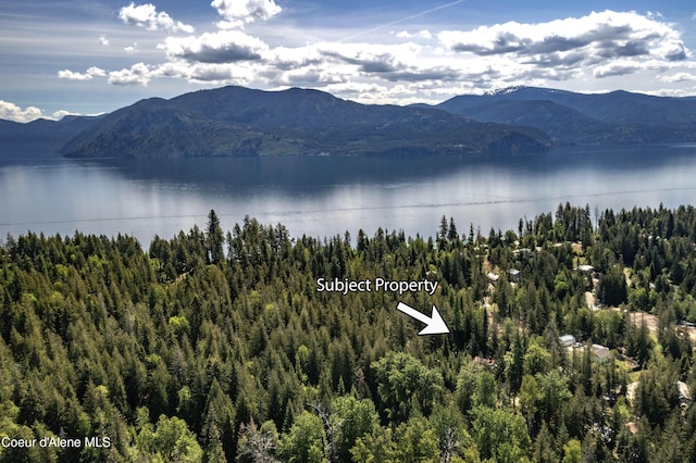 171 Whispering Pines Rd, Sagle, ID 83860