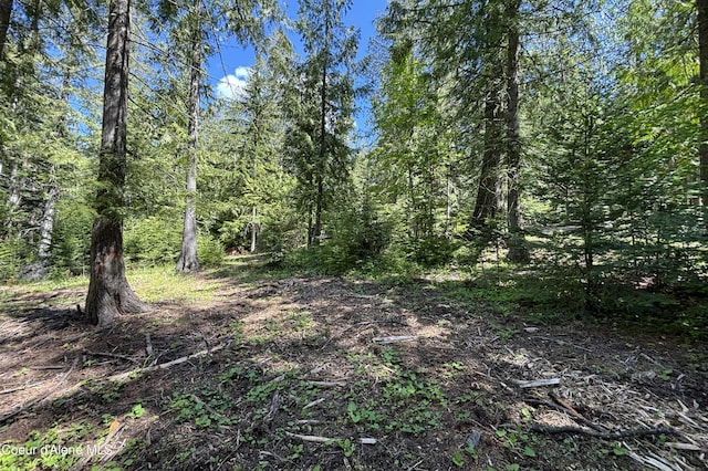 171 Whispering Pines Rd, Sagle, ID 83860