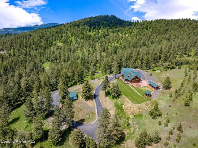 17442 S Painted Rose Rd, Worley, ID 83876 - view of subject property with a forest