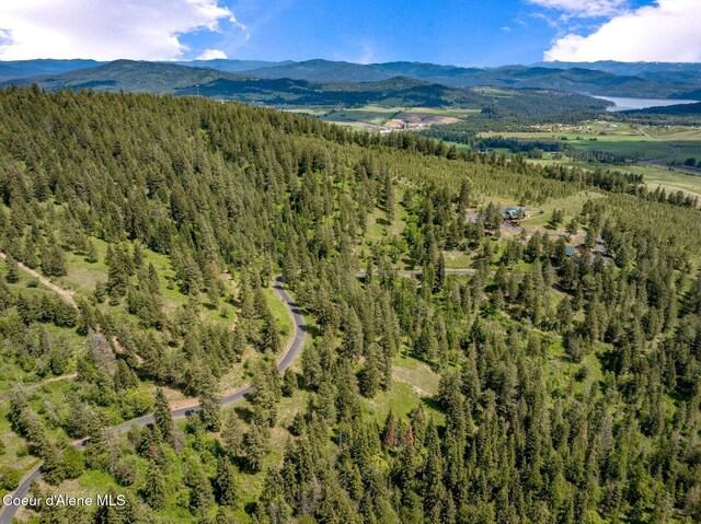 17442 S Painted Rose Rd, Worley, ID 83876 - bird's eye view of a mountain backdrop and a forest
