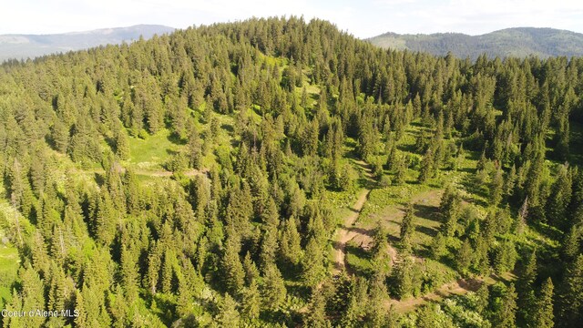 17442 S Painted Rose Rd, Worley, ID 83876 - mountain view featuring a forest