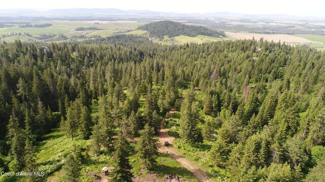 17442 S Painted Rose Rd, Worley, ID 83876 - bird's eye view of a heavily wooded area and a mountainous background