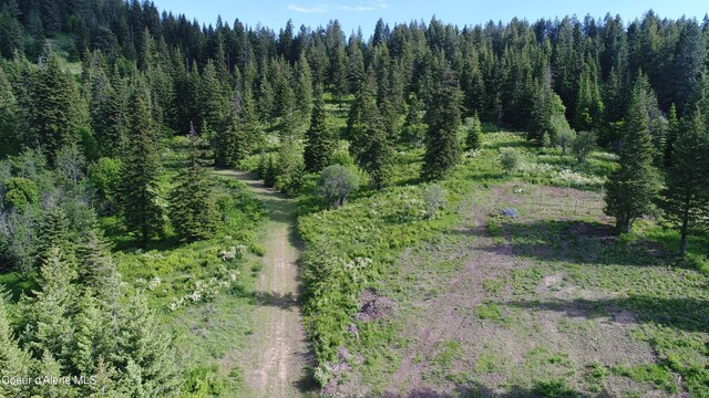 17442 S Painted Rose Rd, Worley, ID 83876 - aerial view of property and surrounding area featuring a heavily wooded area