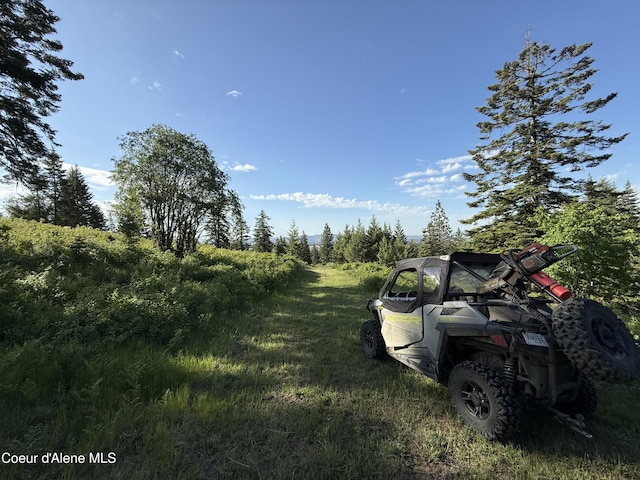 17442 S Painted Rose Rd, Worley, ID 83876 - view of yard