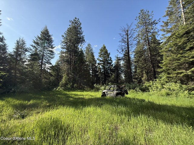 17442 S Painted Rose Rd, Worley, ID 83876 - view of nature