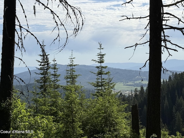 17442 S Painted Rose Rd, Worley, ID 83876 - mountain view featuring a heavily wooded area