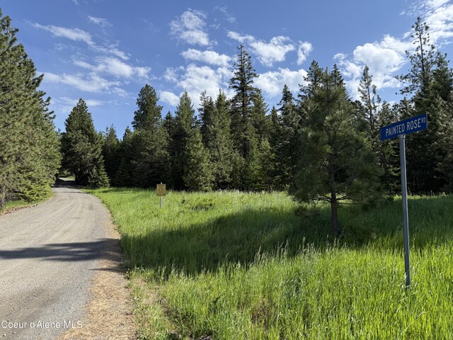 17442 S Painted Rose Rd, Worley, ID 83876 - view of road