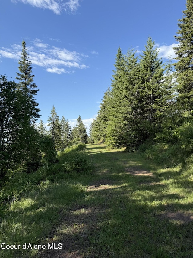 17442 S Painted Rose Rd, Worley, ID 83876 - view of wooded area
