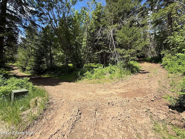 17442 S Painted Rose Rd, Worley, ID 83876 - view of local wilderness
