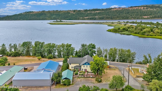 134 N Frederick Ave, Harrison, ID 83833 - photo 81