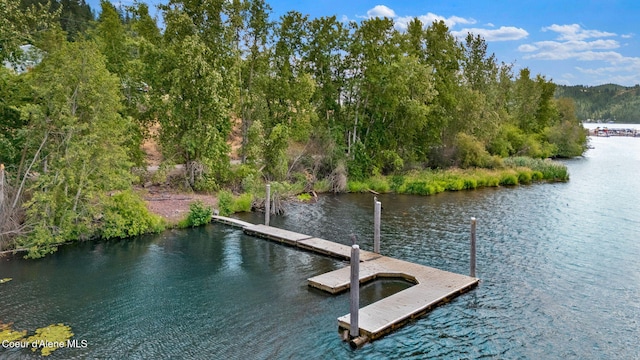 134 N Frederick Ave, Harrison, ID 83833 - photo 89