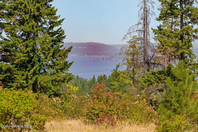 NKA Lisa Rd N Unit 20, Harrison, ID 83833