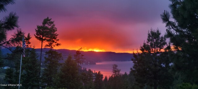 NKA Lisa Rd N Unit 20, Harrison, ID 83833