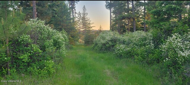 NKA Lisa Rd N Unit 20, Harrison, ID 83833
