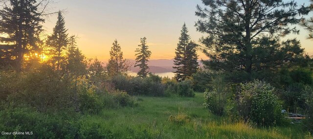 NKA Lisa Rd N Unit 20, Harrison, ID 83833