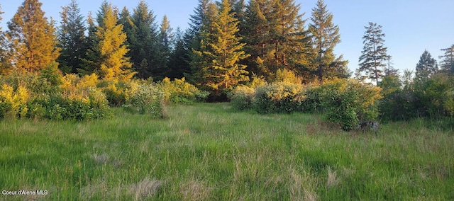 NKA Lisa Rd N Unit 20, Harrison, ID 83833