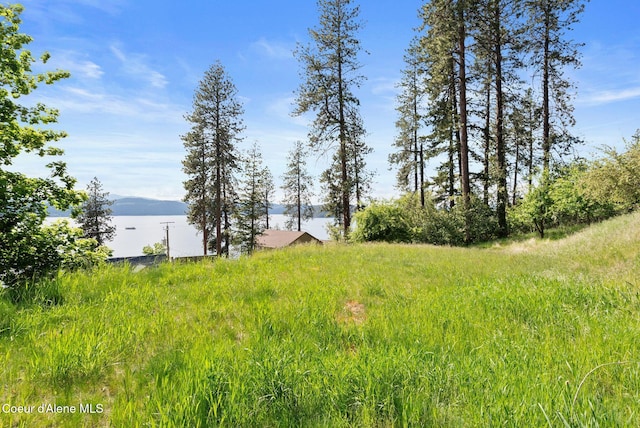 2406 S Silver Beach Rd, Coeur Dalene, ID 83814 - view of yard with a water view