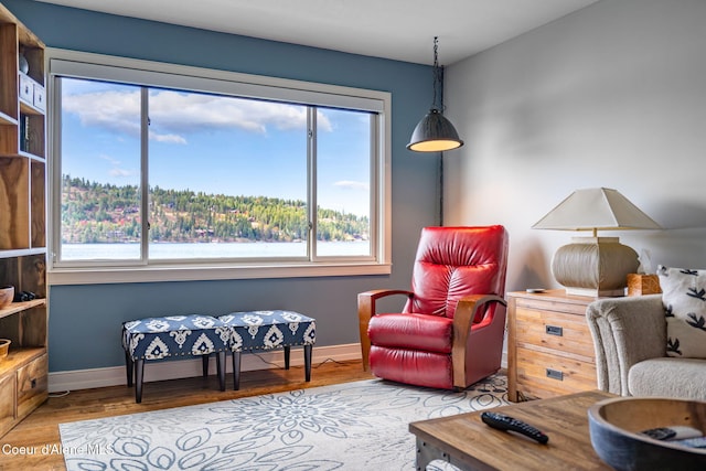 4797 S Arrow Point Dr Unit 104, Harrison, ID 83833 - sitting room featuring healthy amount of natural light, wood finished floors, and baseboards