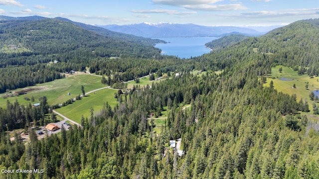 99 Broten Way, Sagle, ID 83860 - view of mountain background with a forest and a nearby body of water