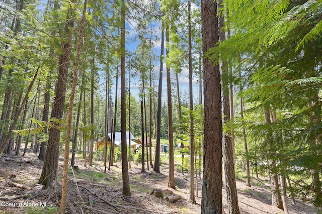 99 Broten Way, Sagle, ID 83860 - view of undeveloped land