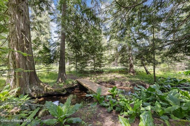 99 Broten Way, Sagle, ID 83860 - view of local wilderness