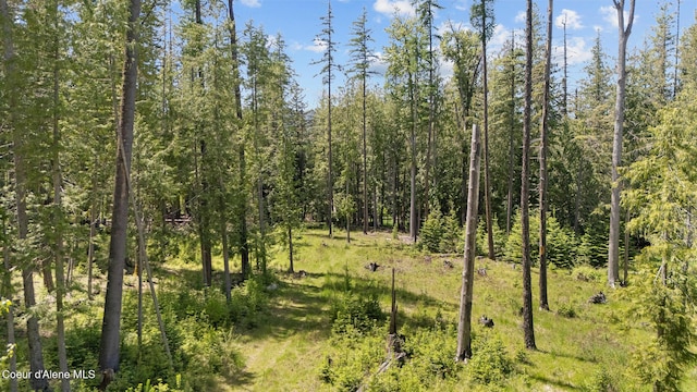 99 Broten Way, Sagle, ID 83860 - view of tree filled area