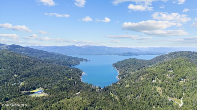 99 Broten Way, Sagle, ID 83860 - view of mountain backdrop with a heavily wooded area and a nearby body of water