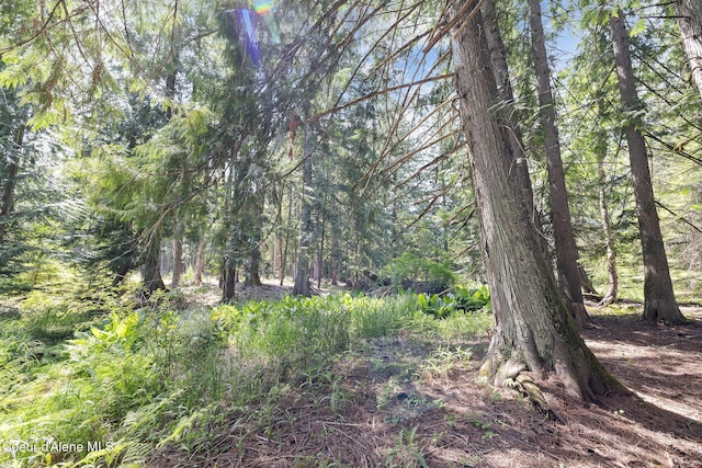 99 Broten Way, Sagle, ID 83860 - view of wooded area