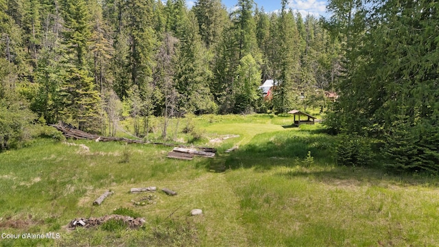 99 Broten Way, Sagle, ID 83860 - view of yard featuring a forest view
