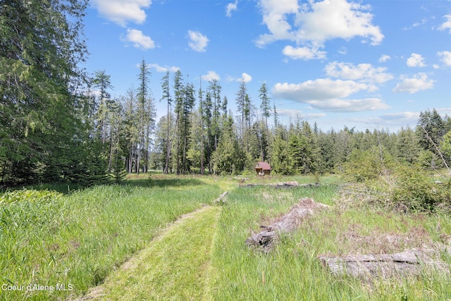 99 Broten Way, Sagle, ID 83860 - view of yard featuring a wooded view