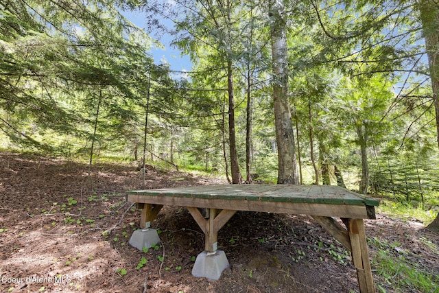 99 Broten Way, Sagle, ID 83860 - exterior view of a heavily wooded area