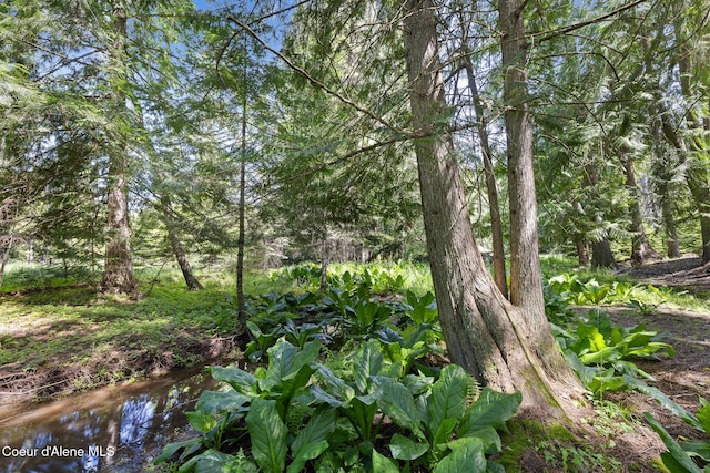 99 Broten Way, Sagle, ID 83860 - view of local wilderness