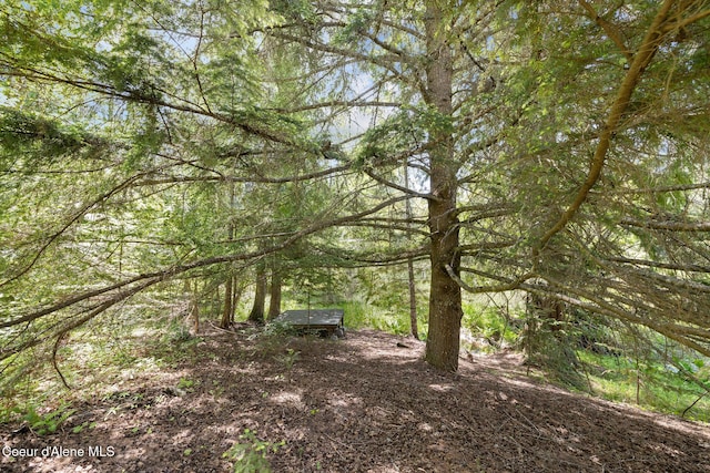99 Broten Way, Sagle, ID 83860 - view of tree filled area