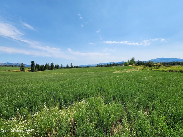 7375 E Sunrise Dr, Harrison, ID 83833 - photo 33