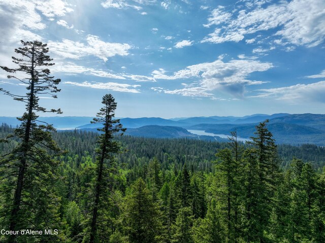 NKA Spring Creek, Sandpoint, ID 83864 - photo 5