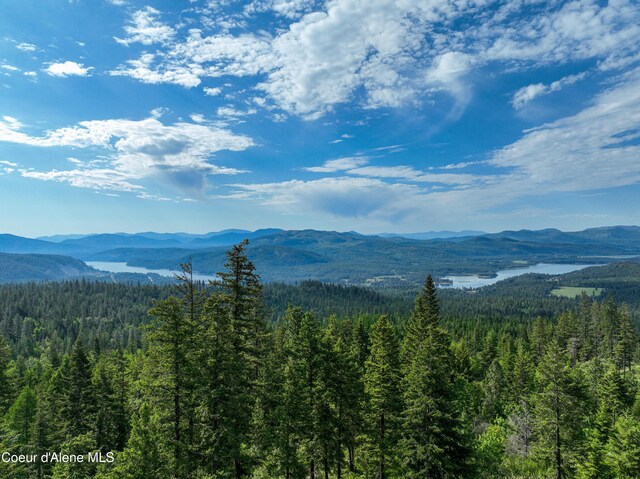 NKA Spring Creek, Sandpoint, ID 83864 - photo 1