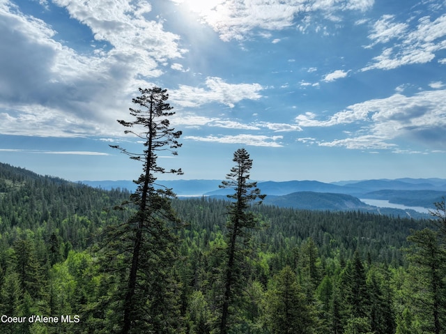 NKA Spring Creek, Sandpoint, ID 83864 - photo 7