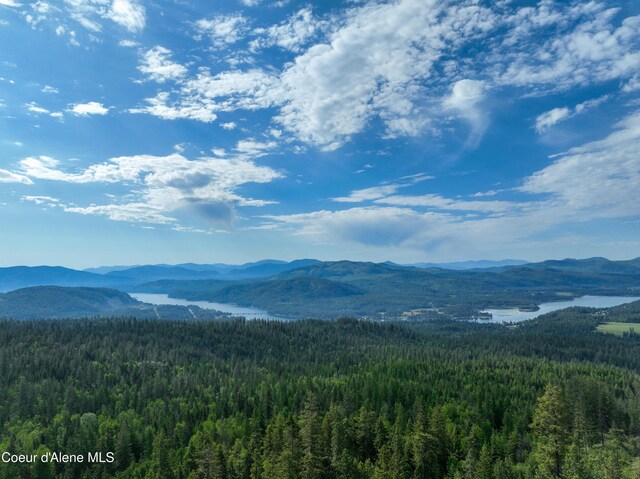 NKA Spring Creek, Sandpoint, ID 83864 - photo 8