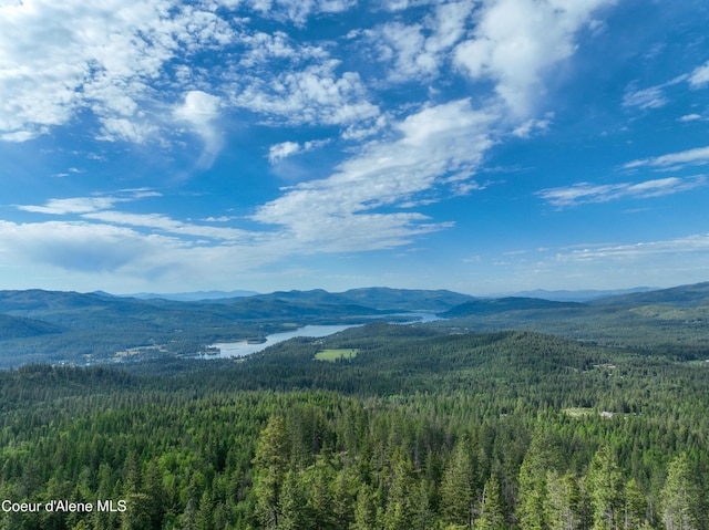 NKA Spring Creek, Sandpoint, ID 83864 - photo 9